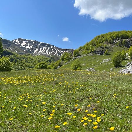 Guesthouse Alpini Lepushe エクステリア 写真