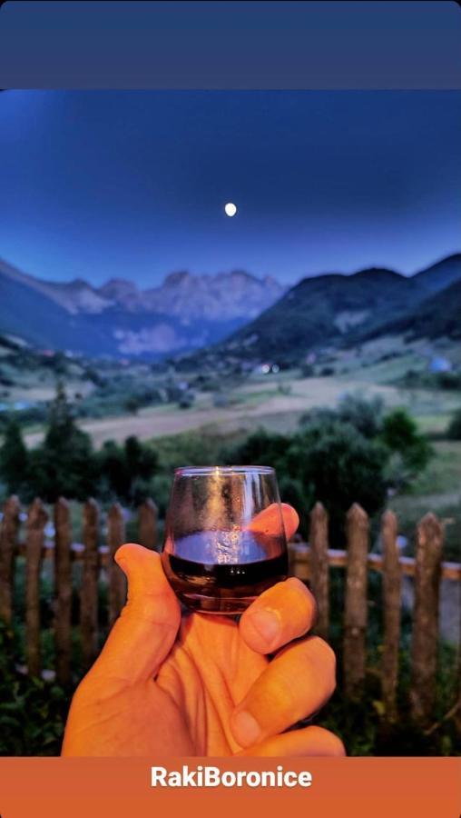 Guesthouse Alpini Lepushe エクステリア 写真