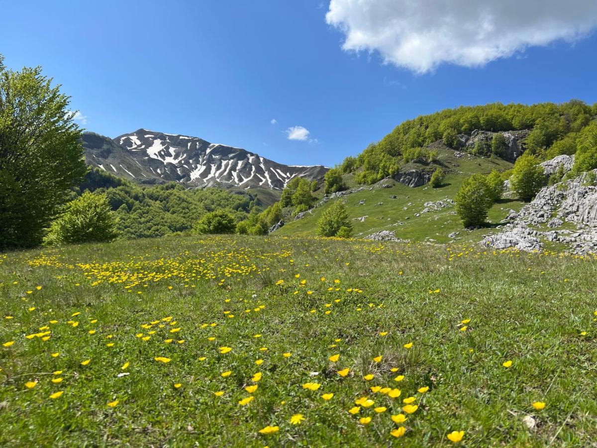 Guesthouse Alpini Lepushe エクステリア 写真