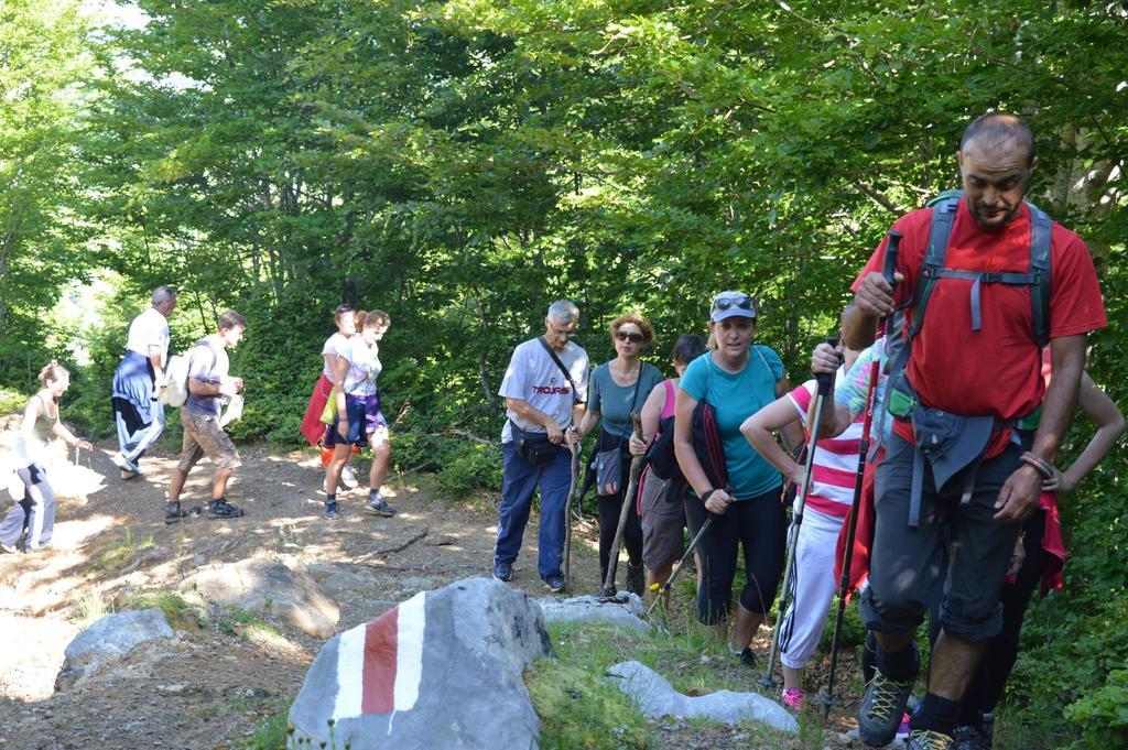 Guesthouse Alpini Lepushe エクステリア 写真