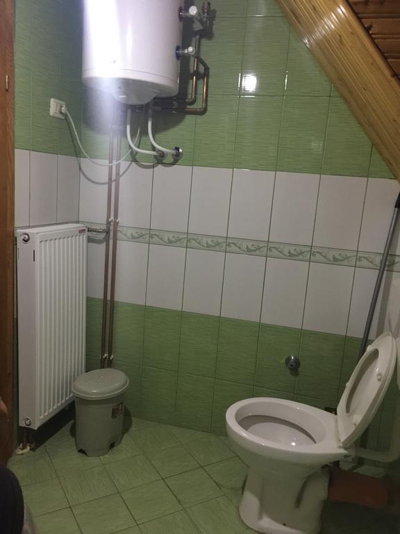 Guesthouse Alpini Lepushe エクステリア 写真